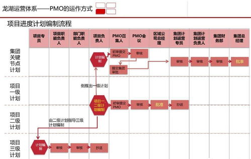 龙湖集团高效PMO项目管理体系研究与实践