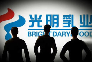 宋清辉 光明乳业企业管理与治理结构漏洞凸显，亟待深化改革